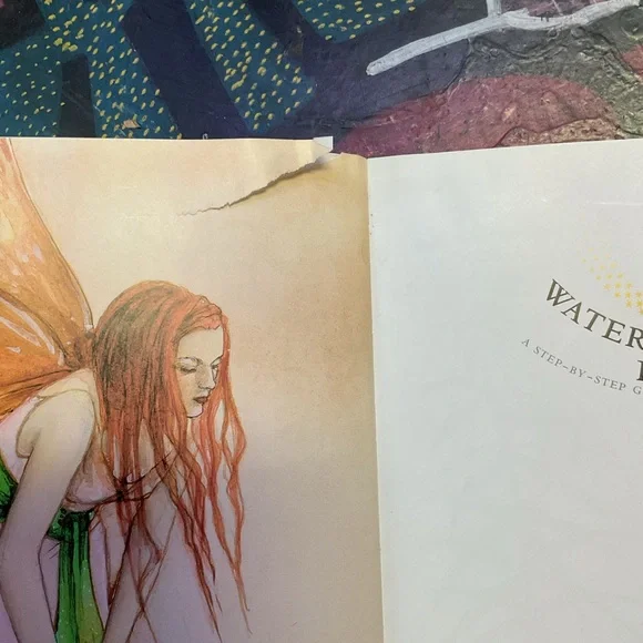 Watercolor Fairies Art Book by David Riche & Anna Franklin - 2004 Fantasy Paint - Picture 10 of 10
